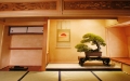Interiour Bonsai Art Museum Omiya (leider Fotoverbot)