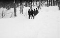 Poseritz Januar 1979(4)